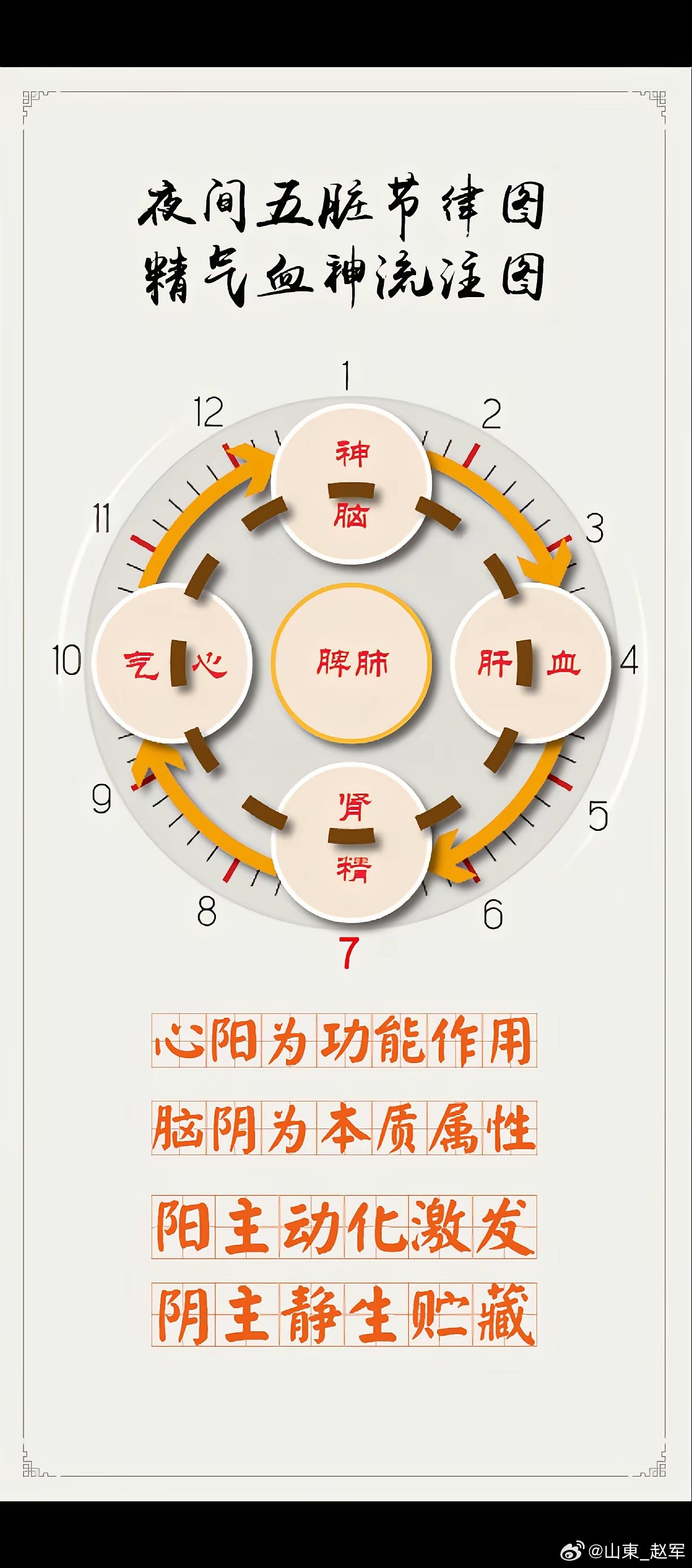 中医文化！人体之气来精化气神化气血化气气分阴阳1.宗气的清新气化而来。