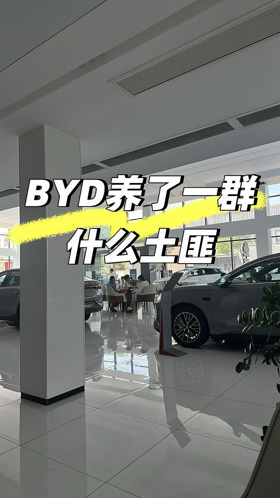 比亚迪维权