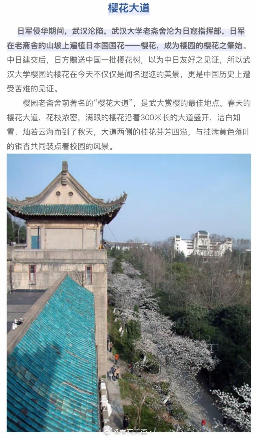 原来武汉大学樱花是这么来的。↓武汉大学继续教育学院官网介绍。​​​