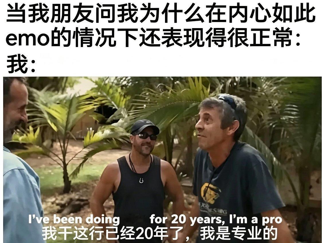 专业伪装meme