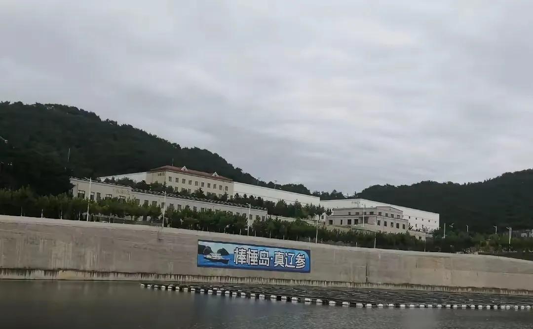 董宇辉要去大连棒棰岛了吗？排班表上董宇辉周四有外场，可具体去哪还没公布。传熙