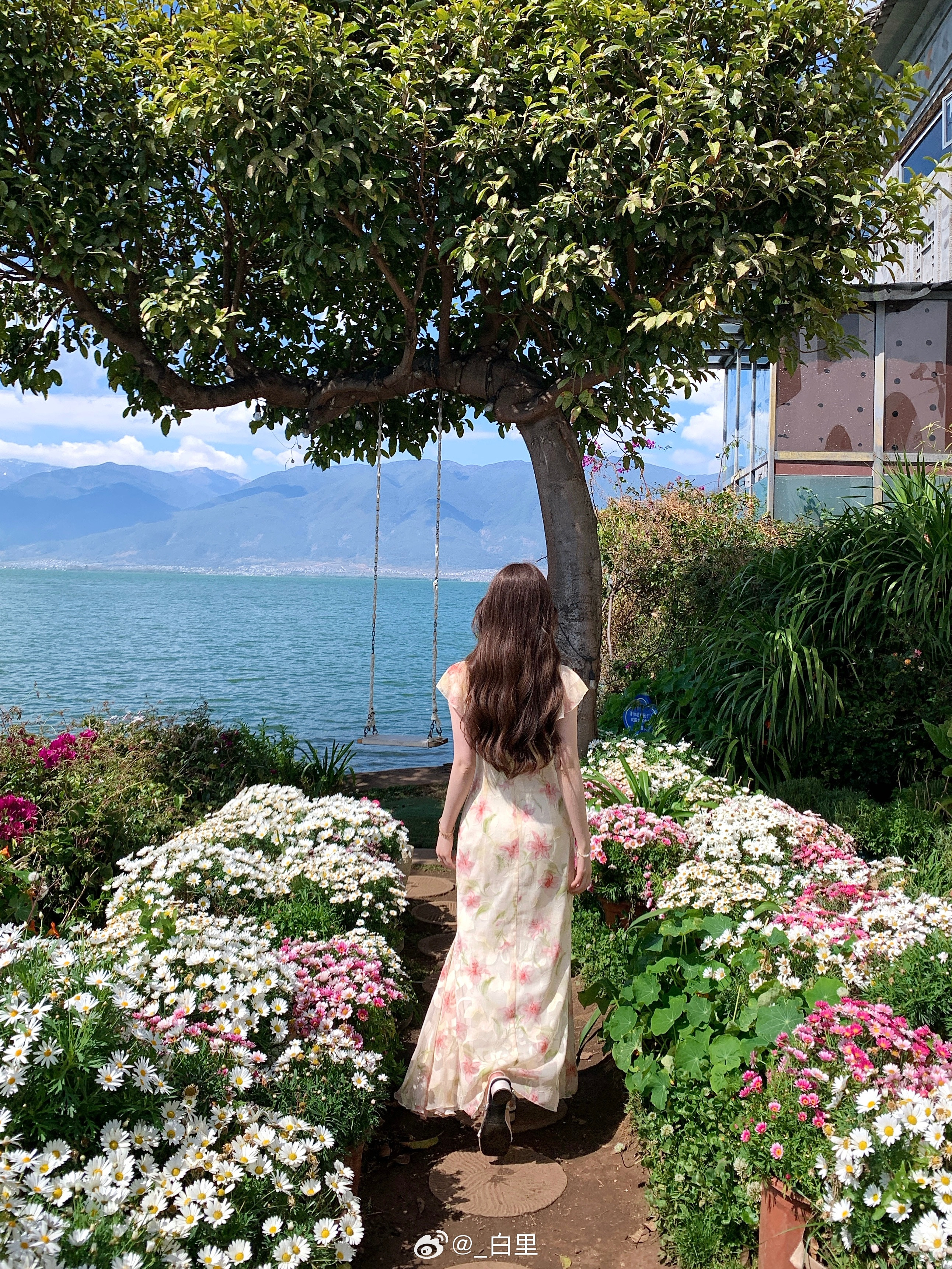 身在花丛中💐大理·双廊古镇