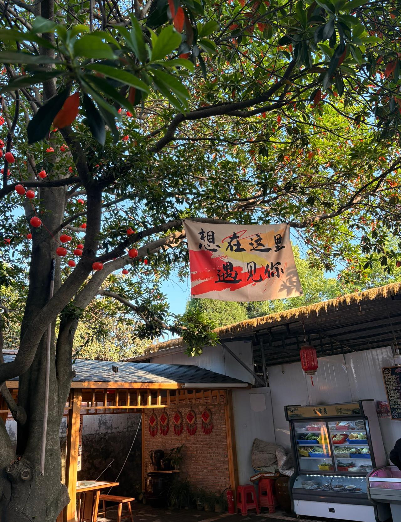 今天和几个朋友在讨论，如果一个人年纪过了40岁的话，下面10个选项中，如果没