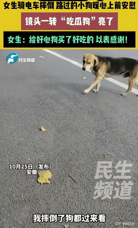 万物皆有灵性！安徽，女生骑电动车摔倒后，一时动弹不了，周围也没有路人经过。刚