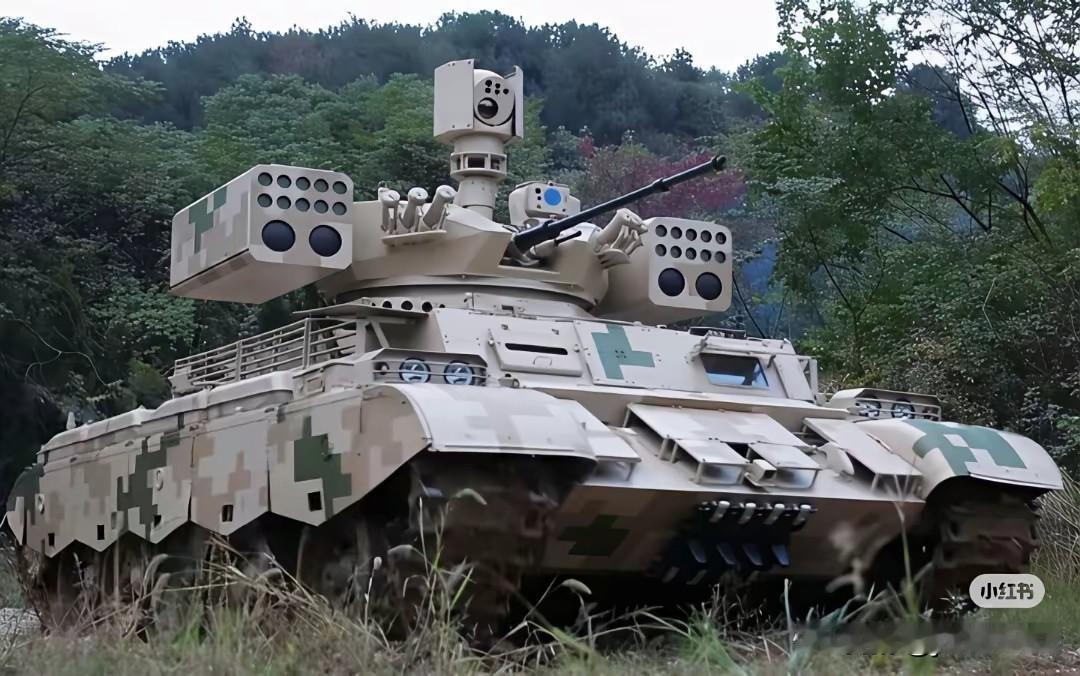 不能再改了，再改就连它的家人都不认识它了！QN-506火力支援车，看着就高大上！