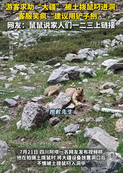 “笑不活了！”四川，男子拍摄土拨鼠，刚将大疆设备放洞口，结果，下一秒就被土拨鼠叼