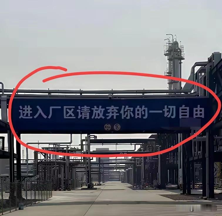 唉，五味杂陈……[哭哭]