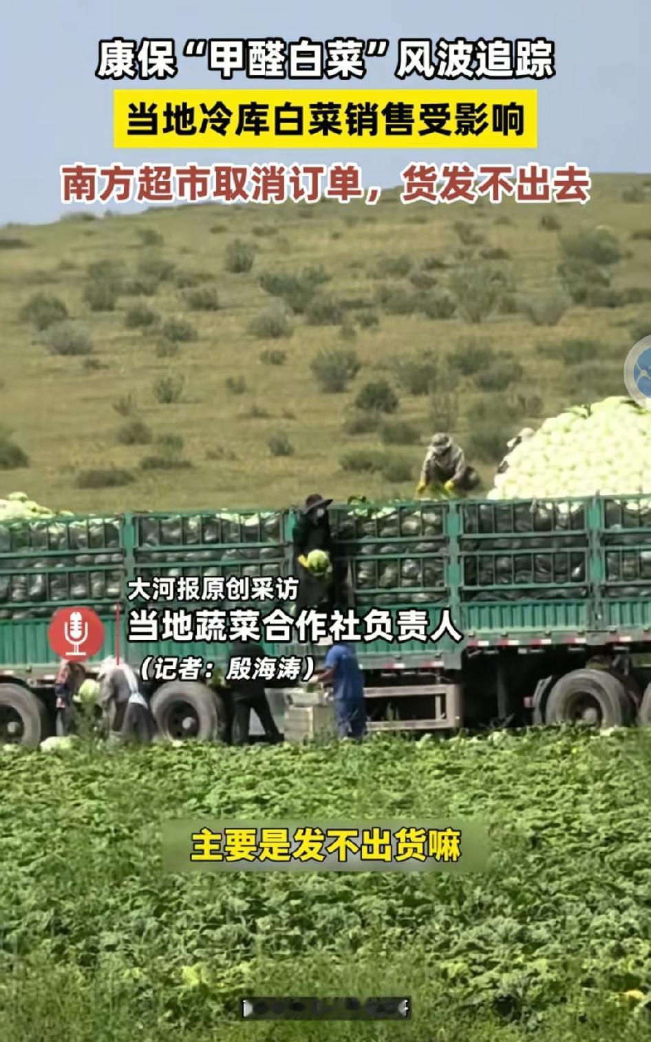 2008年，三鹿奶粉，三聚氰胺，30万婴幼儿受害。2026年，甲醛白菜，工业甲