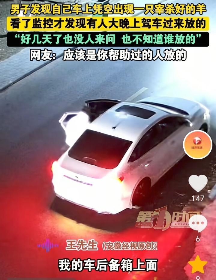 谁放的羊？宁夏银川，男子发现自己后备箱凭空出现一只16斤左右的小羊羔，而且还是宰