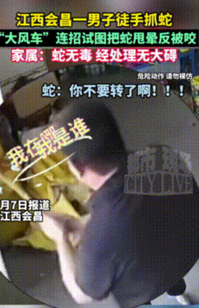 “这大哥是个狠角色！”江西赣州，一条蛇因受不了室外高温，就跑到了大哥家避暑，谁料