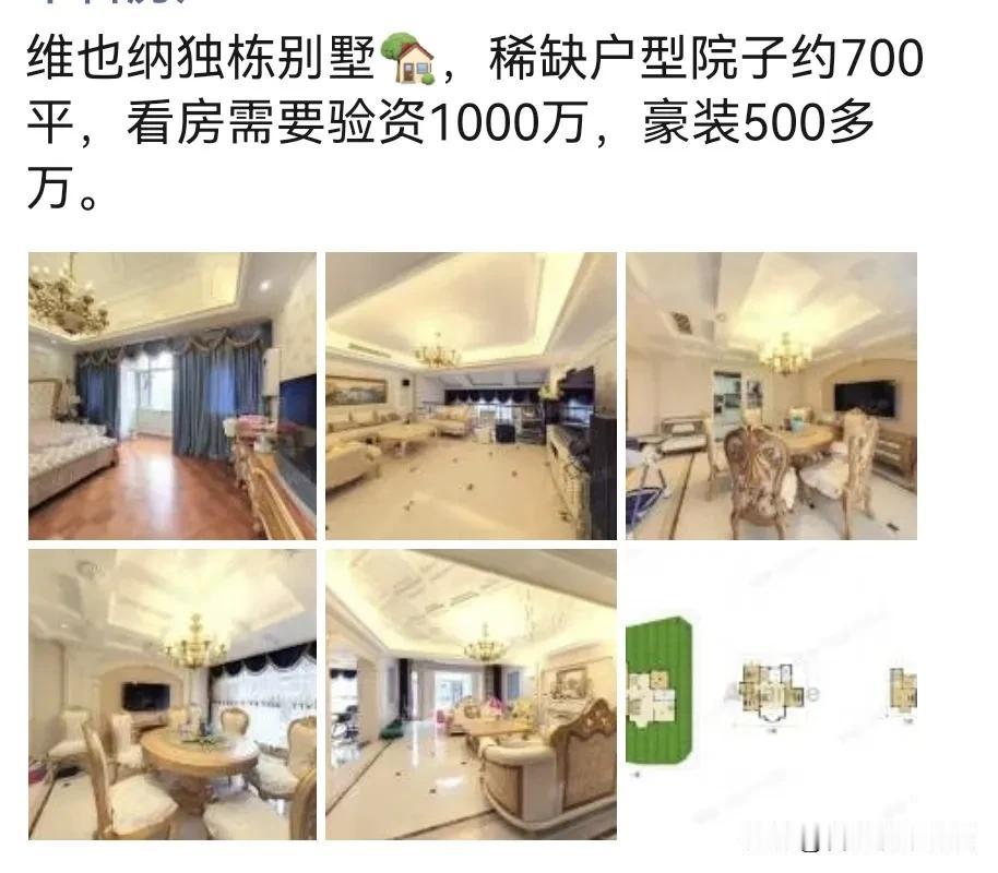 合肥又一个大佬要卖房子。维也纳别墅，成熟的地段。但是看房都要验资1000万，这个