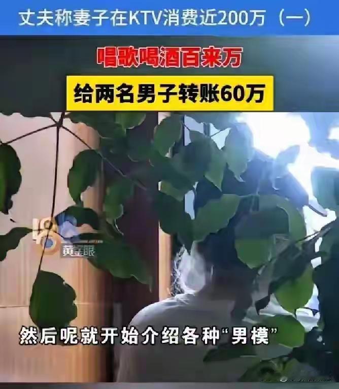 广东KTV天价账单惊现160万！两男模陪酒一夜掏空家底，丈夫怒告法庭判决逆转引全