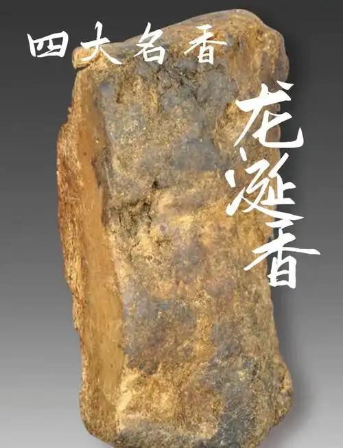 中药材—龙涎香之前逛中药展第一次摸到真的龙涎香，才知道这东西根本