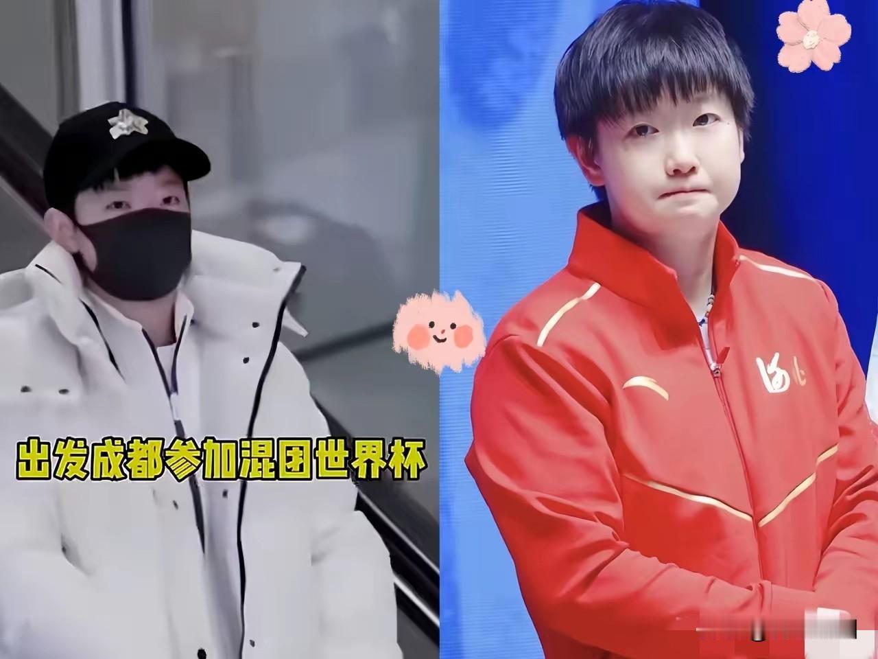 说实话，看到莎莎他们到成都比赛的消息，我心里挺不是滋味的。咱们老是盯着单打冠军喝