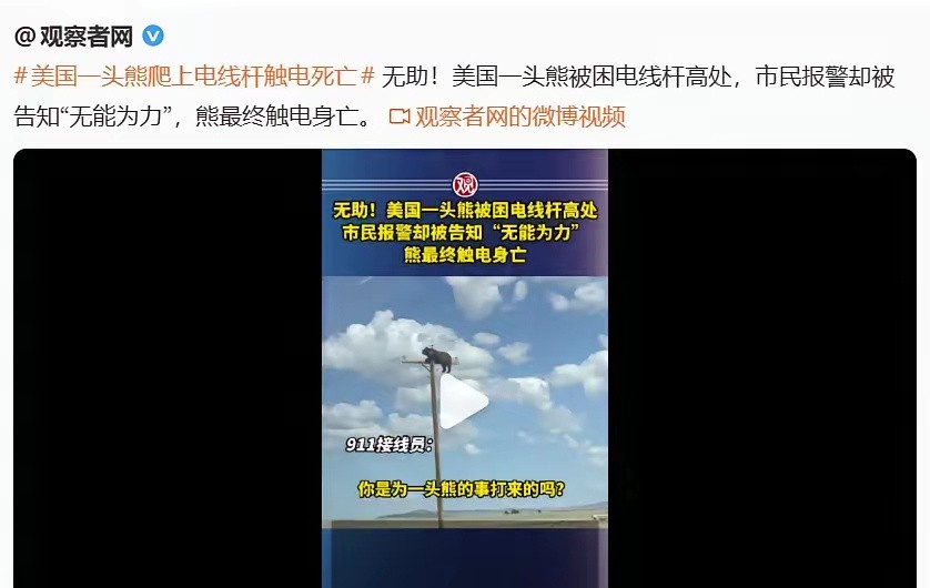 《意林》当年不是说，美国总统会为一只麻雀派战斗机吗？如今一头活生生的熊挂在电线杆