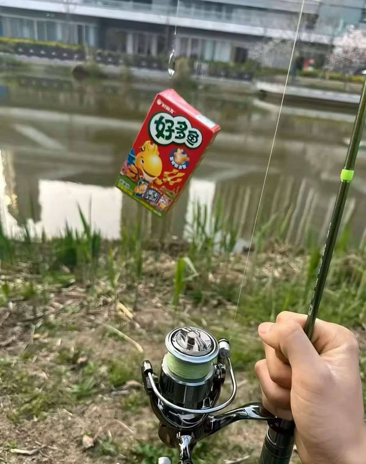 一下午掉到好多鱼