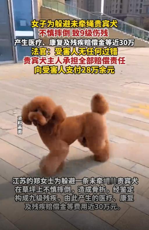 “大快人心！”近日，江苏常州，一女子在早上晨练后准备回家，谁知在路上突然窜出一条