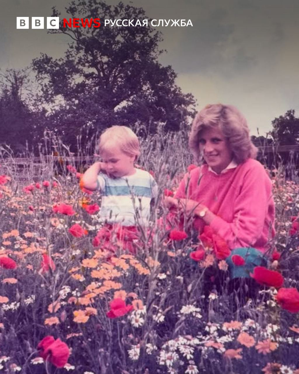 今天是英国的母亲节。威廉王子为此发布了一张与戴安娜王妃的合照。这张照片来自家族