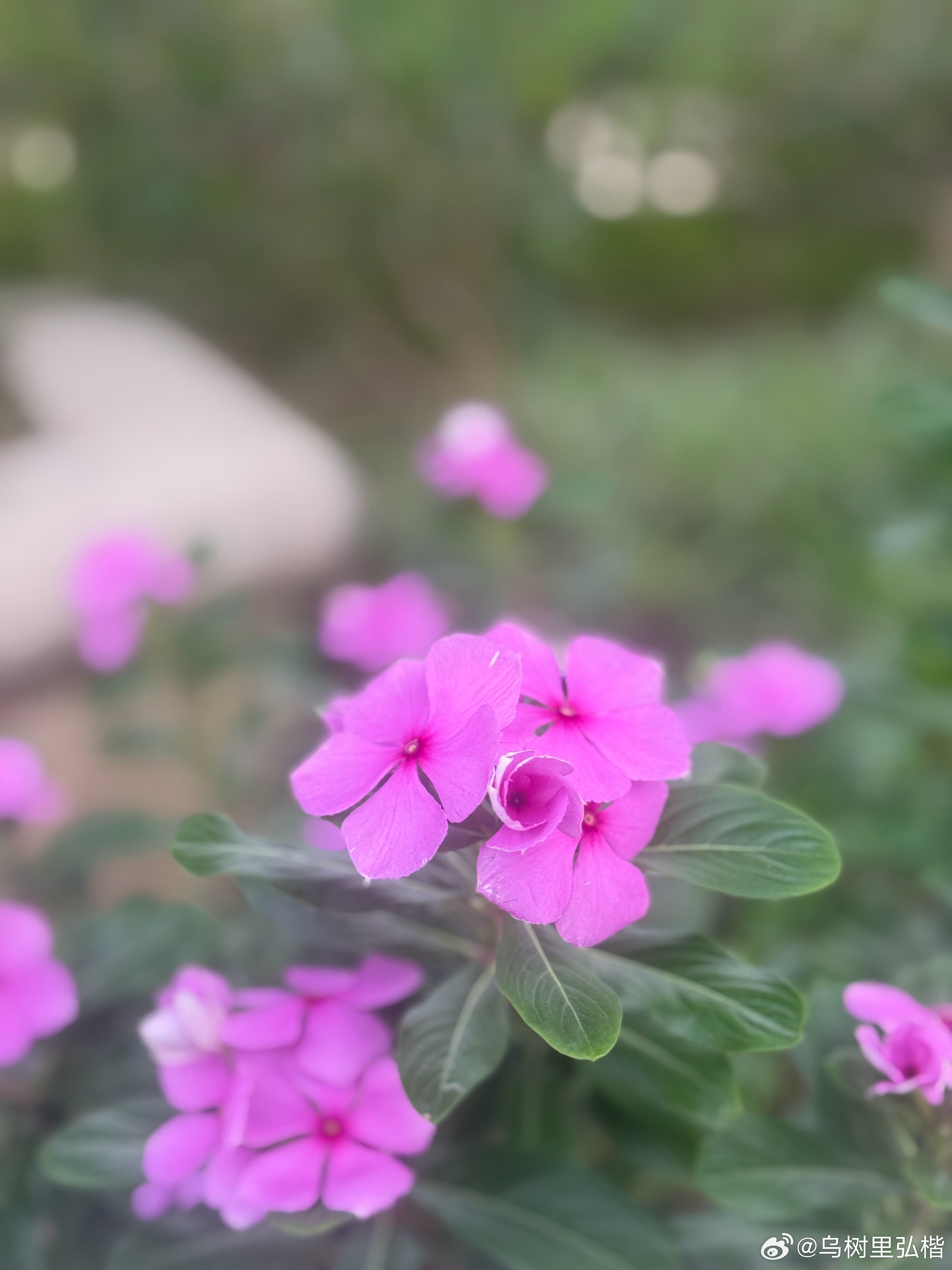 弘一法师曾说过一段极具人生智慧的话：人这一生，一定要懂得积德行善。 人顺风顺水的