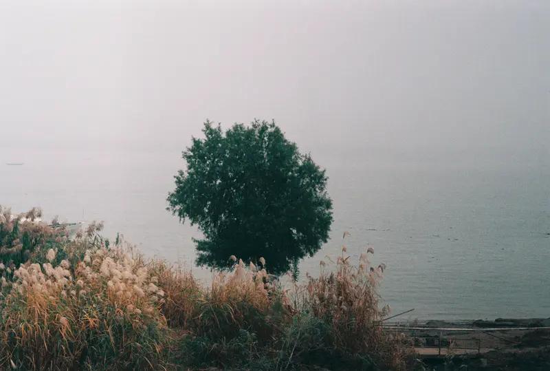 一段很有道理的话：“有钱人在云里雾里，没钱人在风里雨里；有钱人在床上出汗，是享