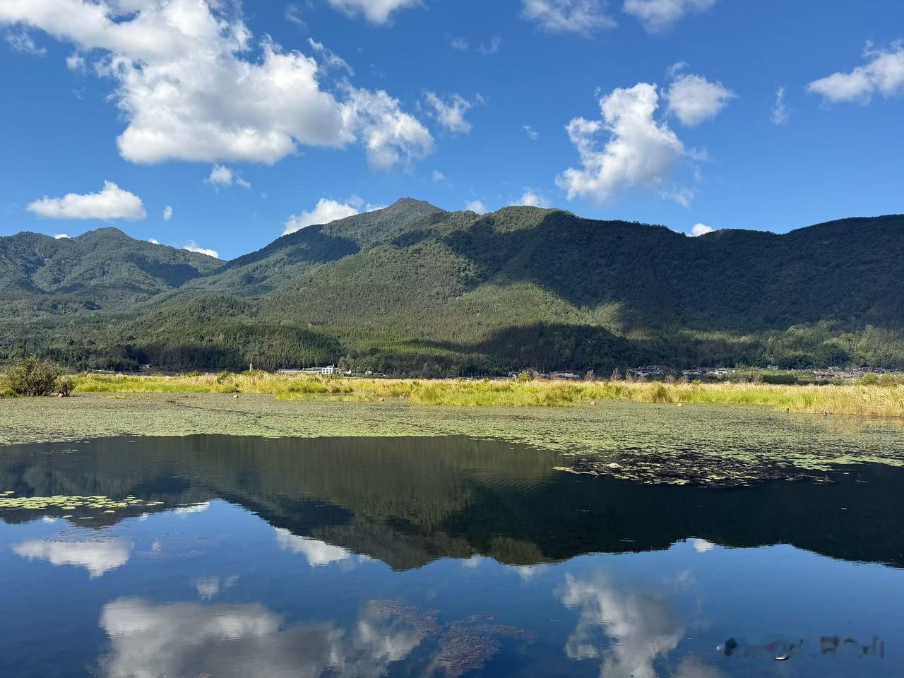你作为单位的中层，开会的时候有没有一言不合就拍桌子，下属做错一点事就破口大骂，把