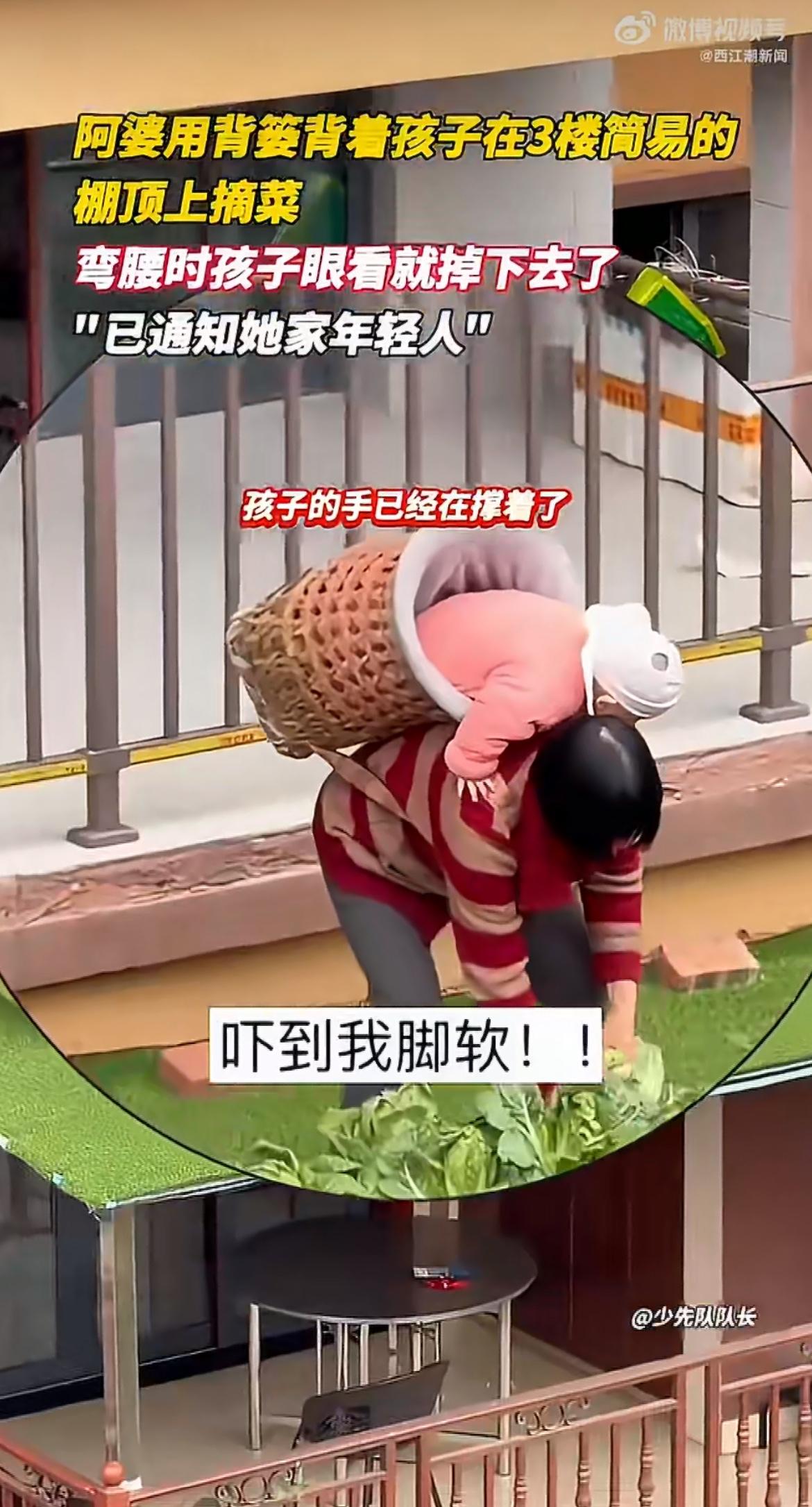 “看的人脚软！”重庆阿婆背着孩子站在三楼简易棚顶摘菜！弯腰瞬间孩子差点掉下去，拍