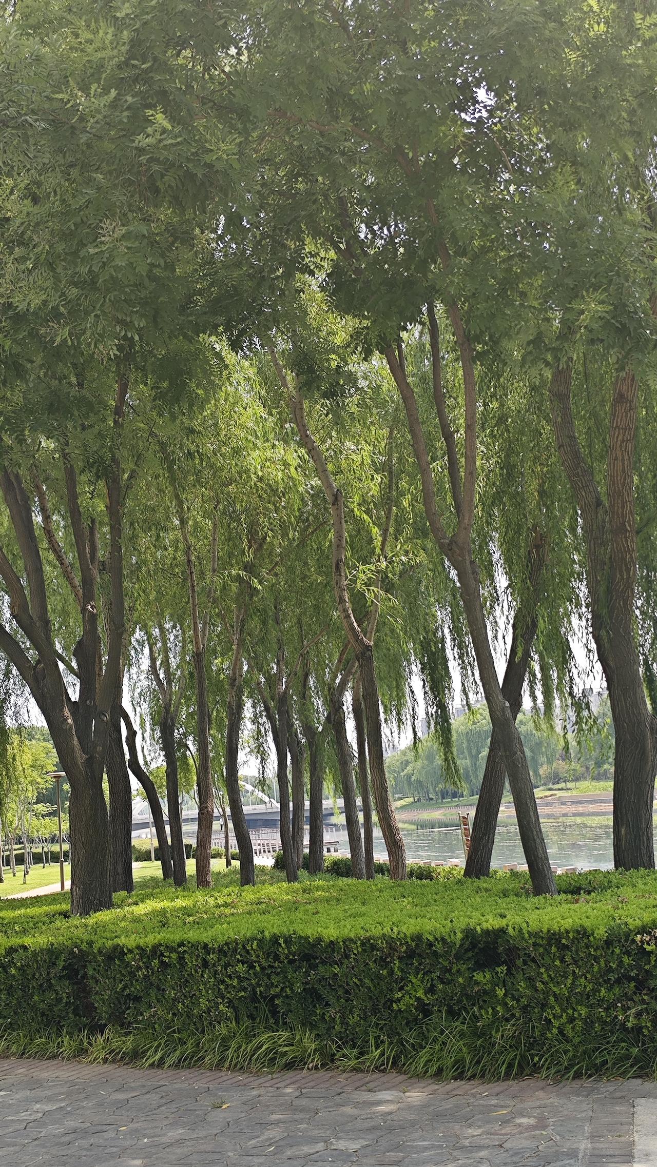 六零后的寻常心事我们这一代六零后，转眼都迈入老年光景，早早办理退休，卸下职