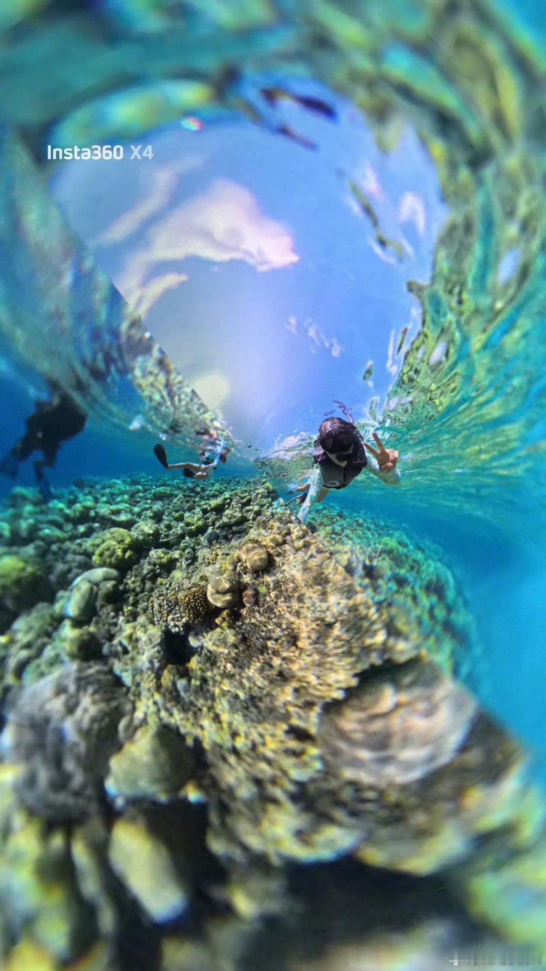 孙俪潜水照孙俪晒一家四口度假照孙俪晒一家四口度假照，大家都笑得很开心，阳光、大海