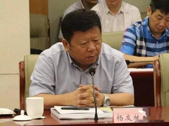 杨友林，1957年出生，江苏省南京市人。1976-2000年历任南京东山发动机
