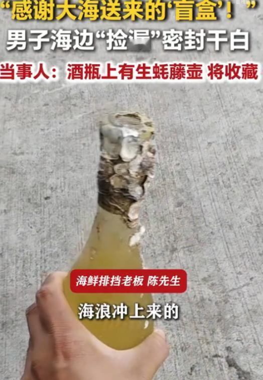 大自然的馈赠！浙江舟山，一位海鲜排档老板到海边赶海时捡到一个漂流瓶，拿起一看发现