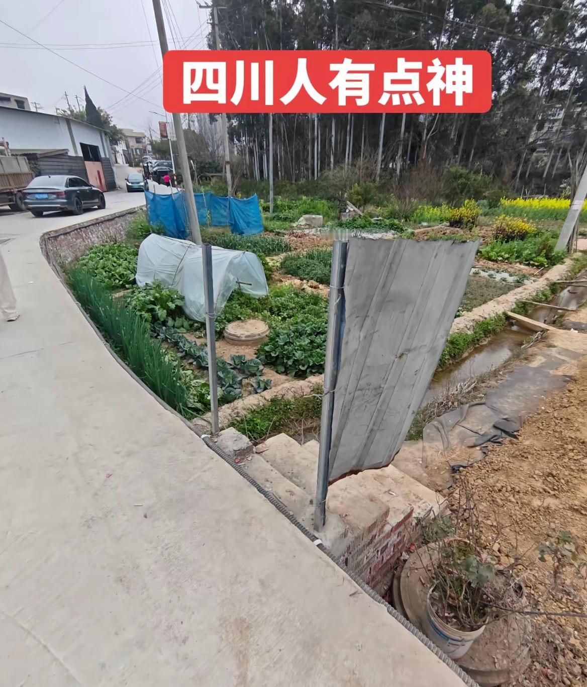 四川不养闲人，因为全是神人哈哈哈哈哈哈