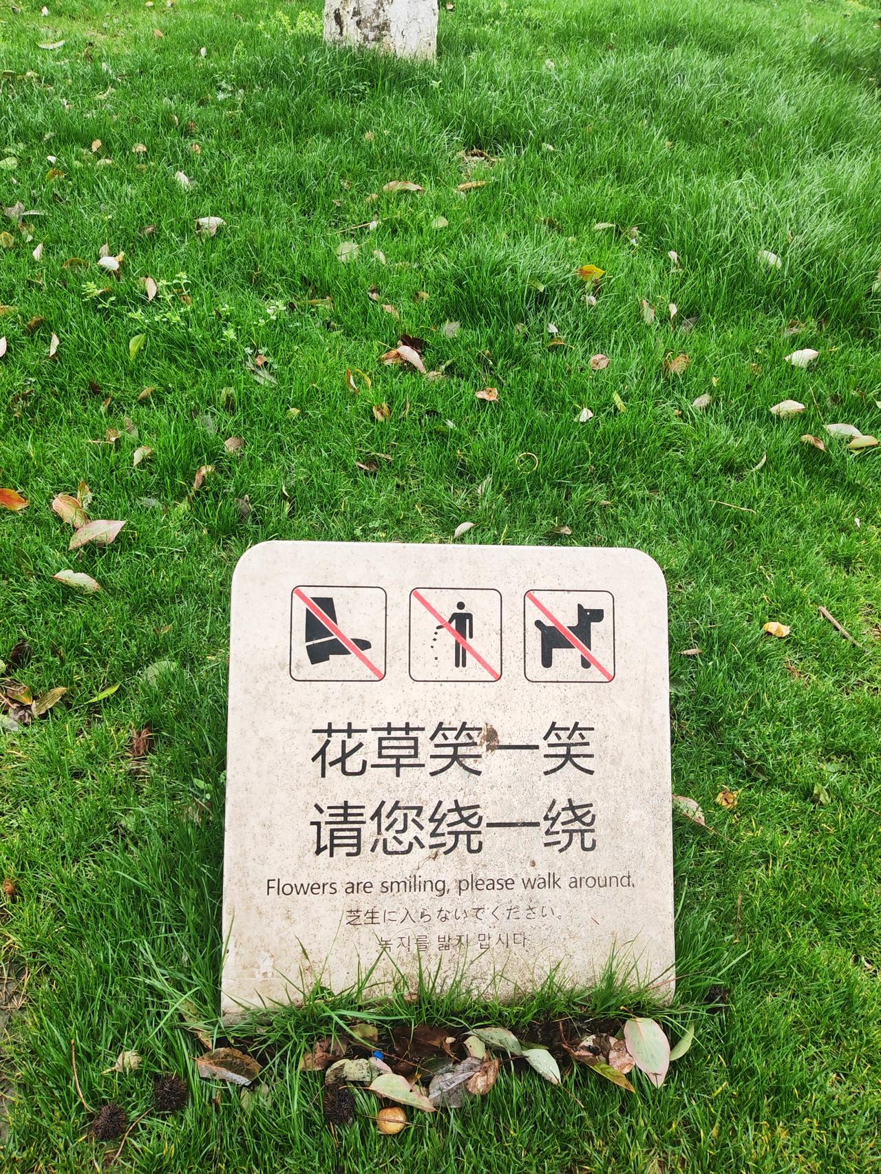 ​​婚姻与爱情哪有那么多意难平呢？不过是爱还在时掏心掏肺，分开时任性妄为，最终