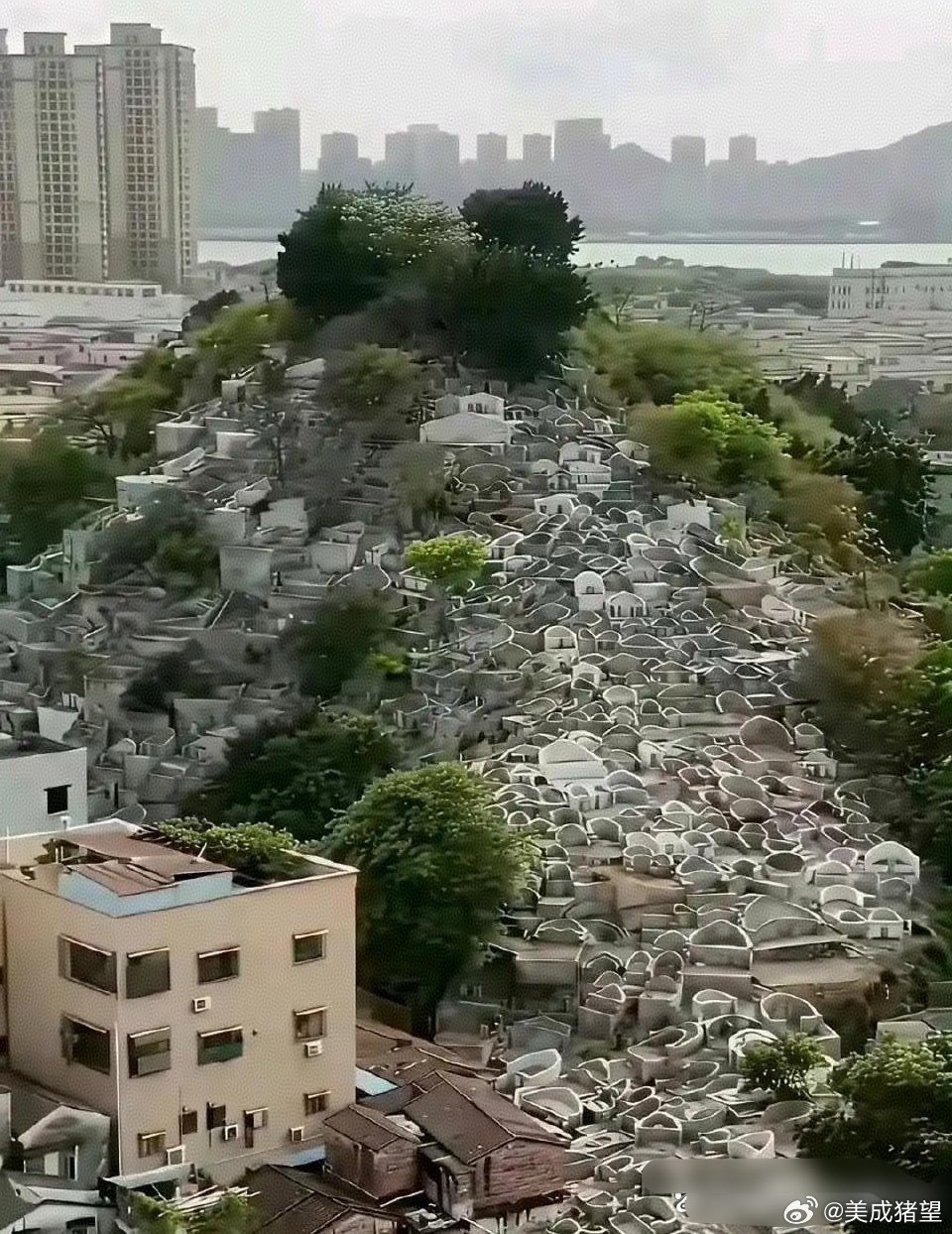 这就是多年后土葬的结果