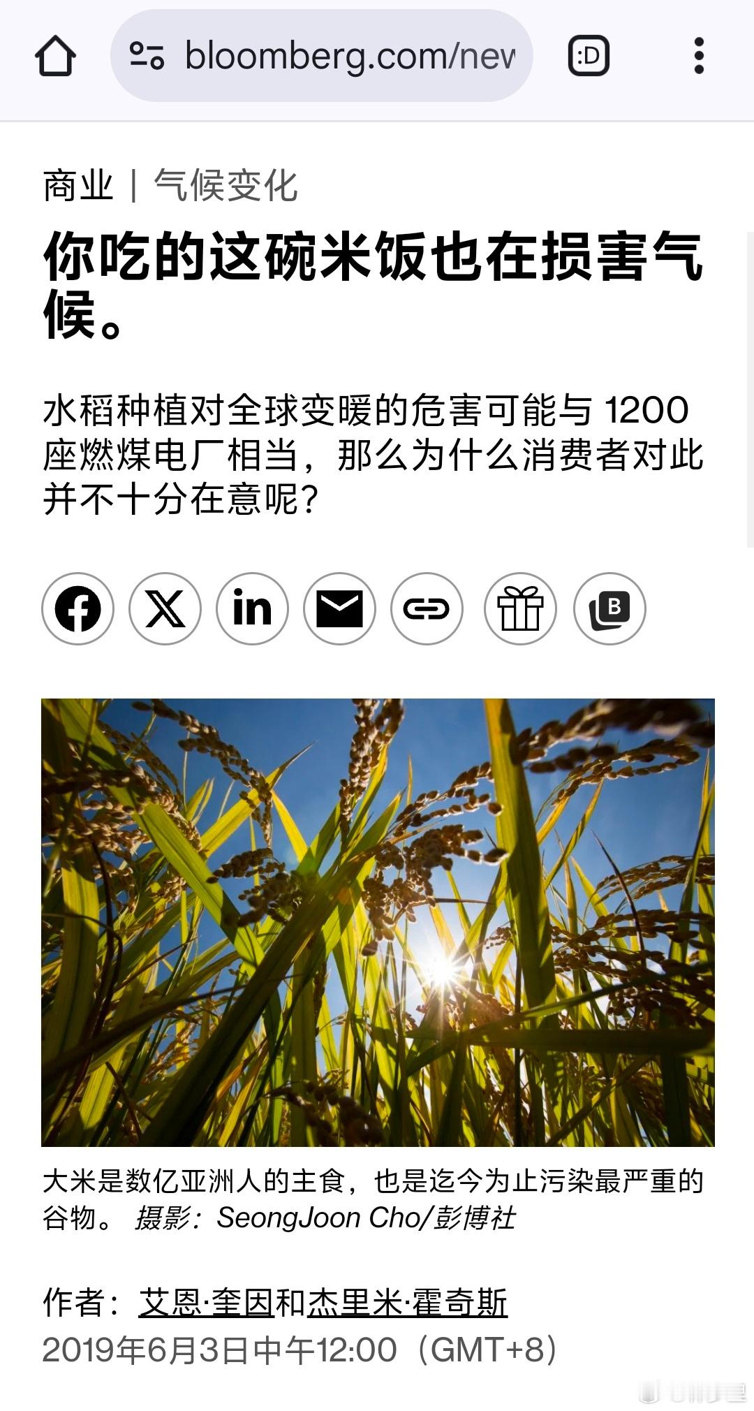 每天一个米饭（碳水）导致疾病的话题，是不是2019年环保的话术不好使了，换了新思