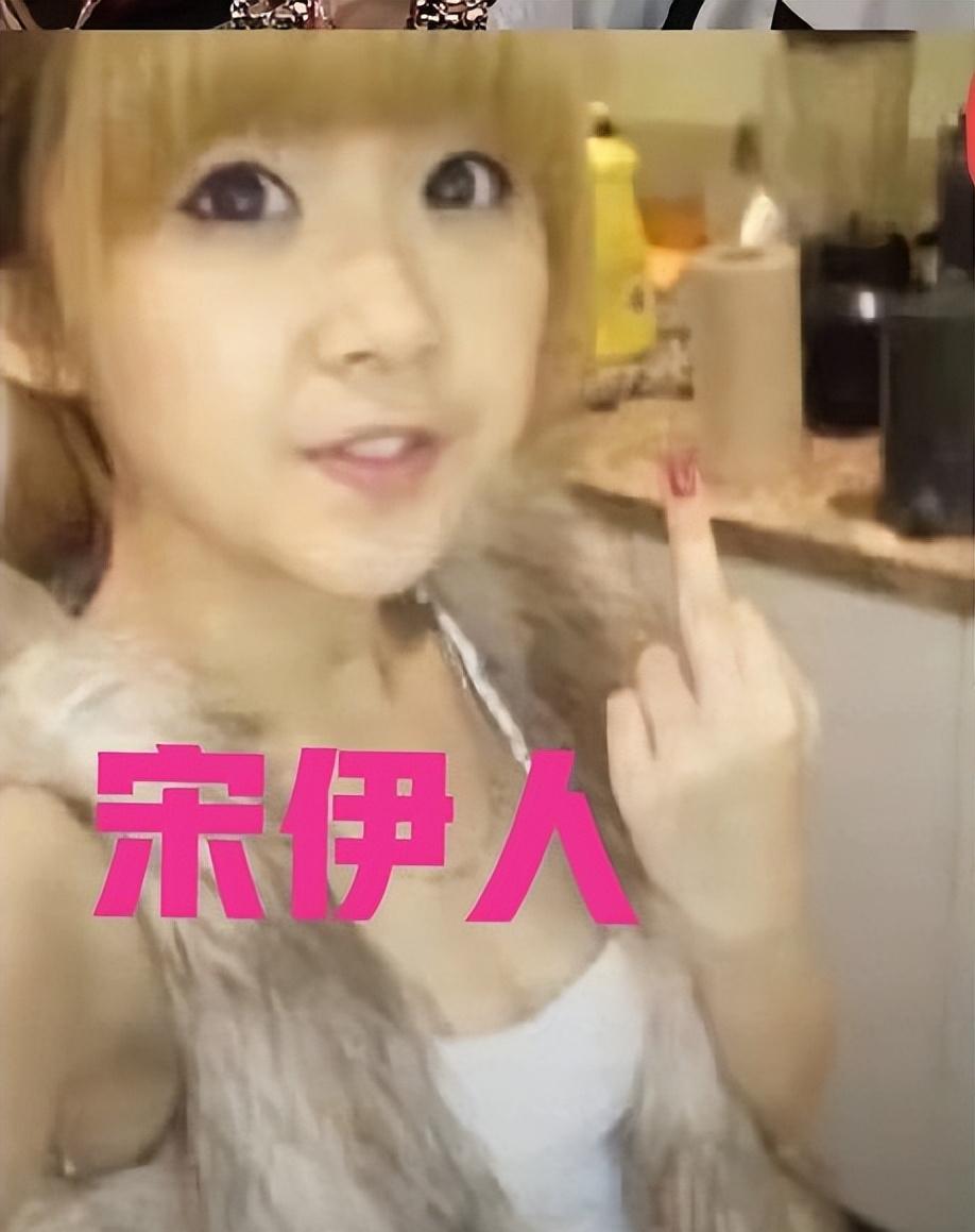 这个宋伊人什么来头？听说是北大研究生。可十几岁就是小太妹的她是怎么完成学业的