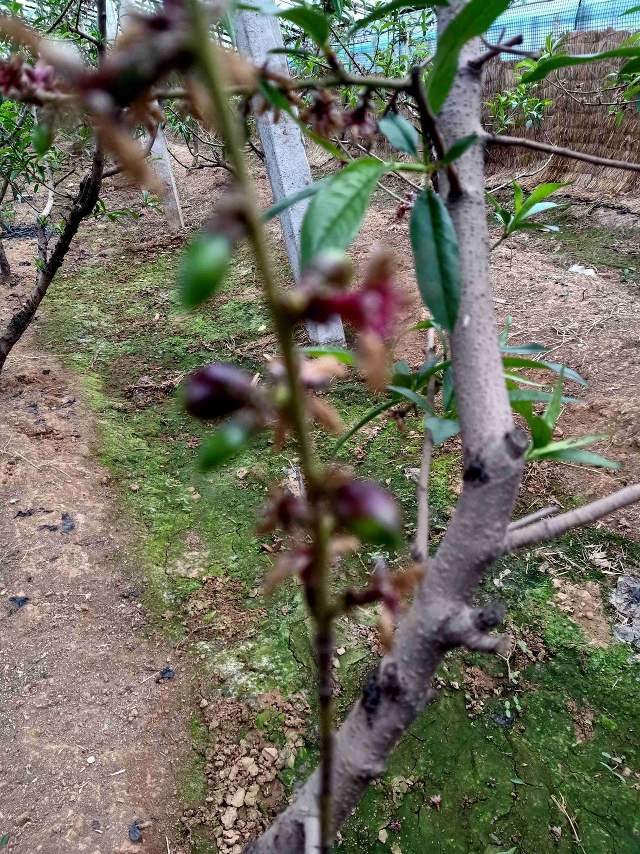 我的今日状态：😁轻松愉快我这里的天气：🌤️多云