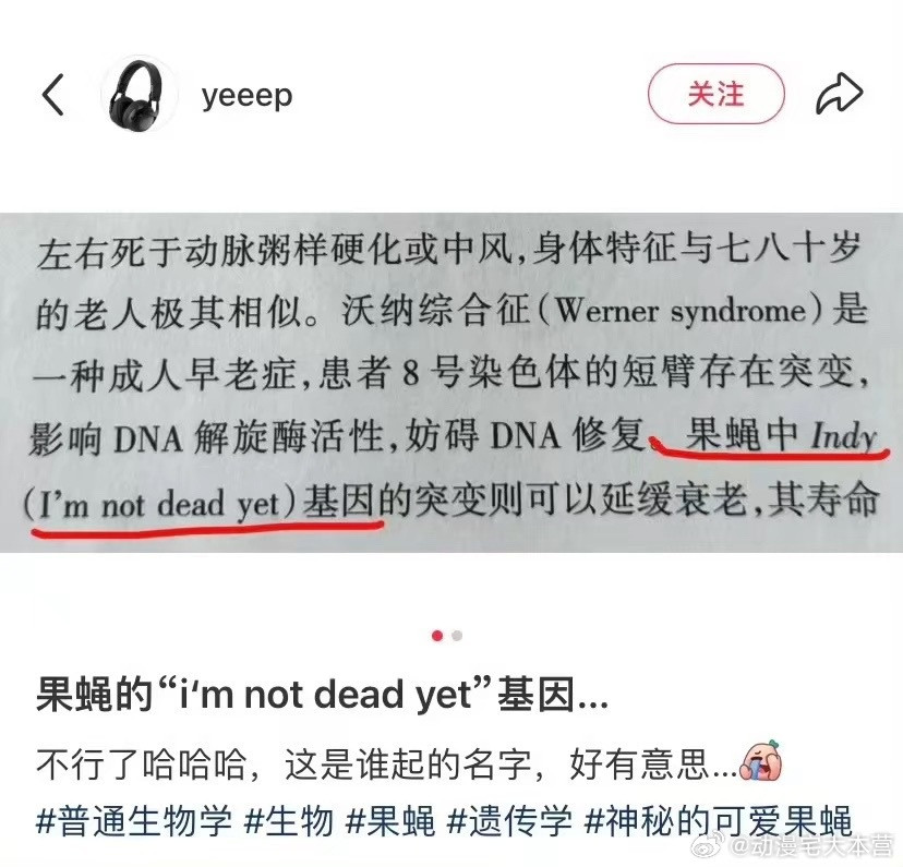 没有外生殖器是KenandBarbie哈哈哈哈哈哈哈