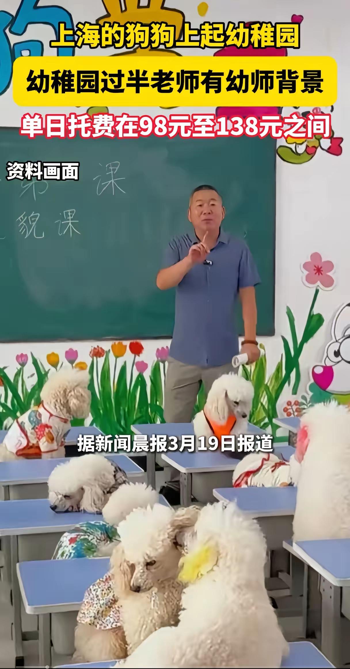 狗再高贵也是动物，上海宠物学校正进一步打破人与狗的边界，甚至造成人不如狗的恶劣现