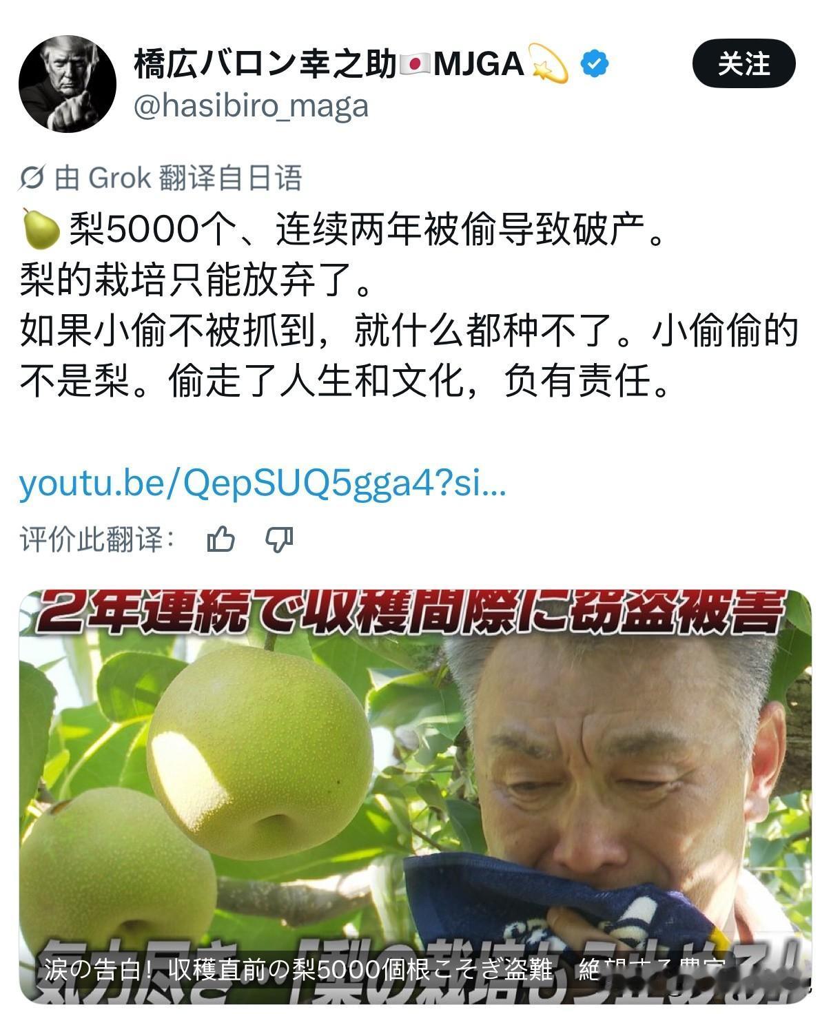 最近日本有一条新闻传遍全网，福岡县梨子大量被盗，导致农民破产，以至于伤心不已的农