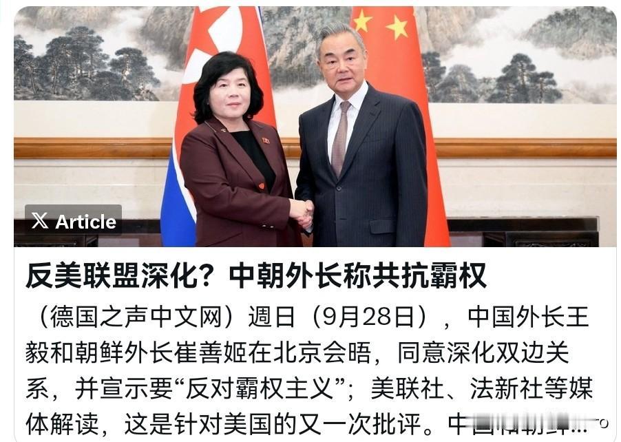 德媒点名对我们进行批评！在王毅外长与朝鲜外长举行会晤之后，9月29日，德国之声刊