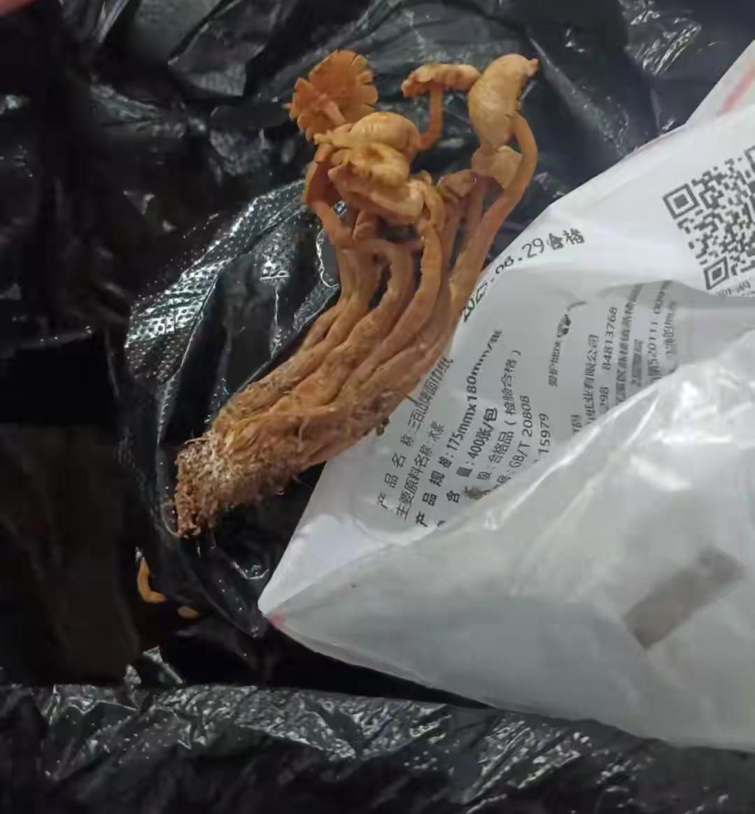 3条人命没了！别再迷信“土方法辨毒菌”，这误区真能害死人！贵州毕节这起悲剧