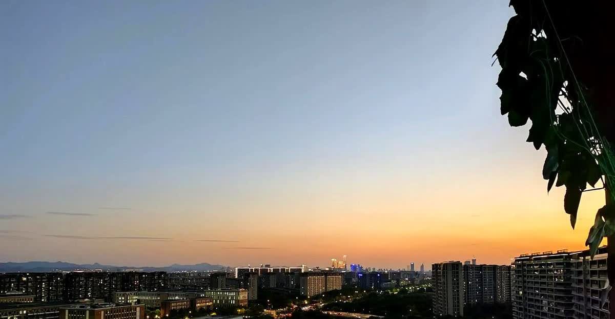比亚迪最大的风险是发展实在太快了，2019年销量45万，2024年425万，国内