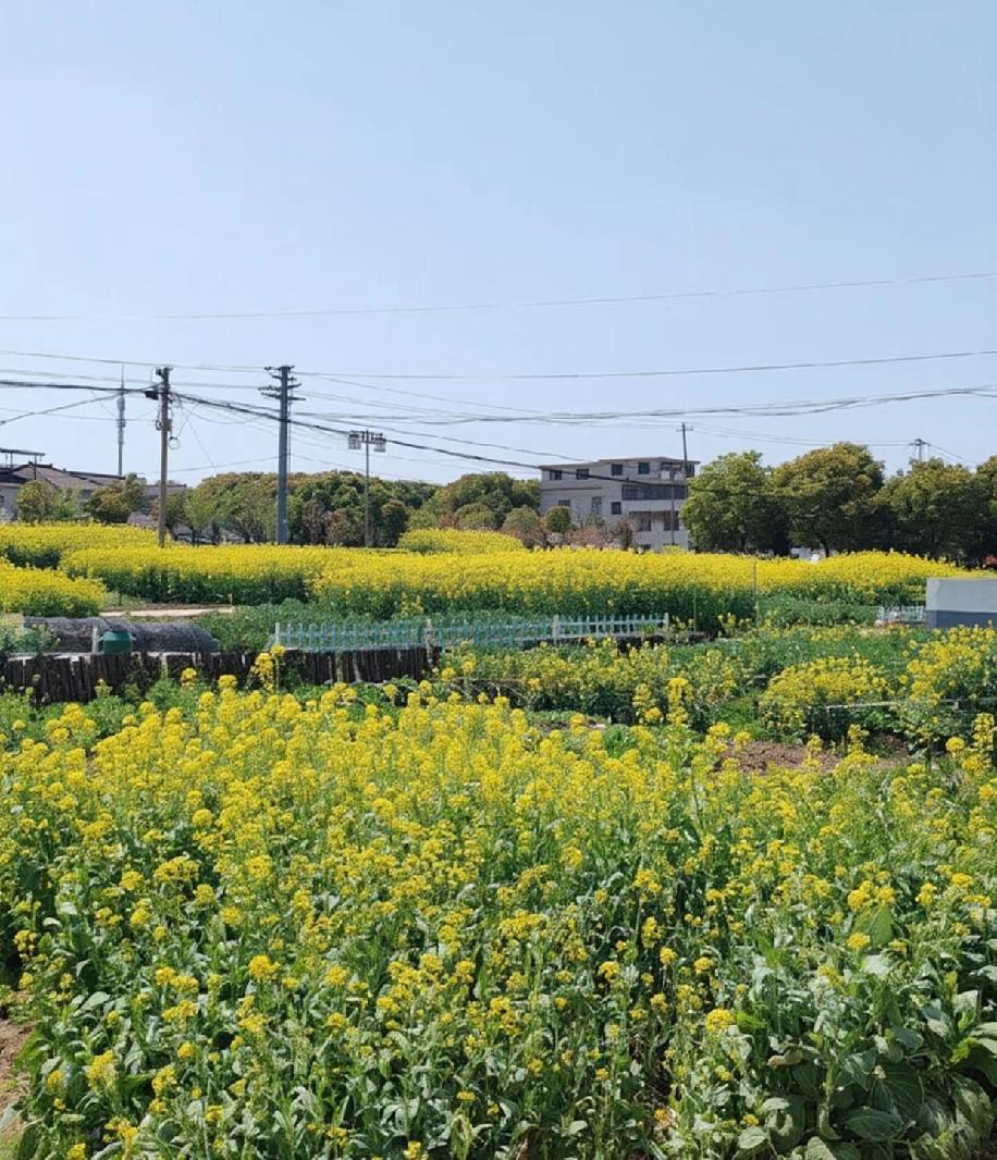 越想越觉得离谱，身边全是买房却不住的人，掏空钱包背上车贷，最后房子空着、人在外地