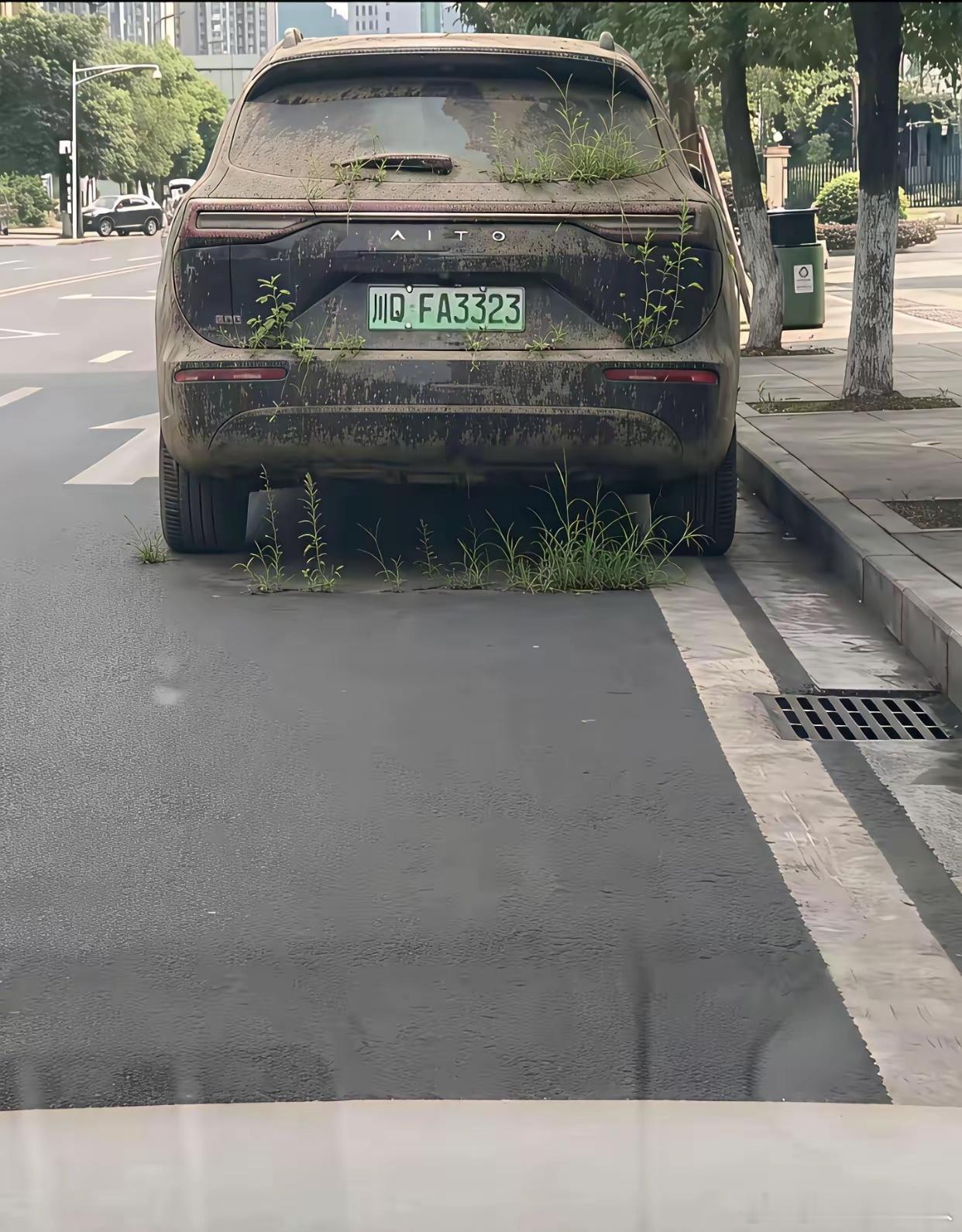 车子买回来，放着不开图什么呢？
