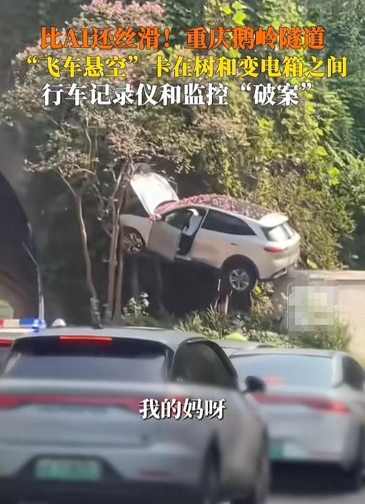 “要不？你再表演一次？”重庆鹅岭隧道口，一辆SUV就这么水灵灵地骑树上了。更神的