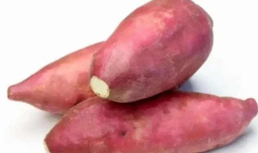 红薯为何成不了主粮？8000斤高产背后的四大致命缺陷红薯，这个在灾荒年代救过无