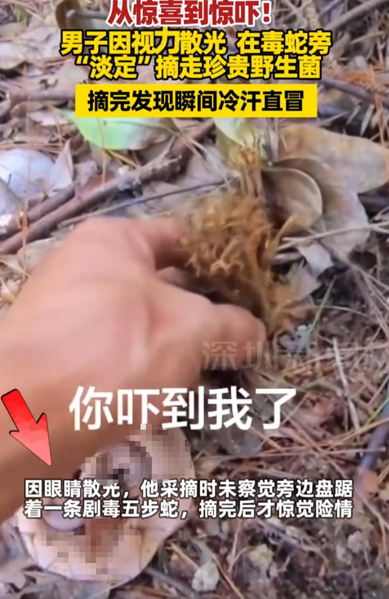 惊喜变惊吓了！云南，一男子到山上采菌，看见一颗极其珍贵野生菌，男子相当高兴的上前
