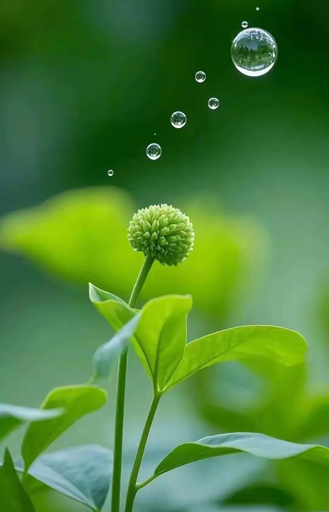 《卜算子·惜缘》难得是真心，所幸相逢份。莫忘当初初见时，一段温柔韵。