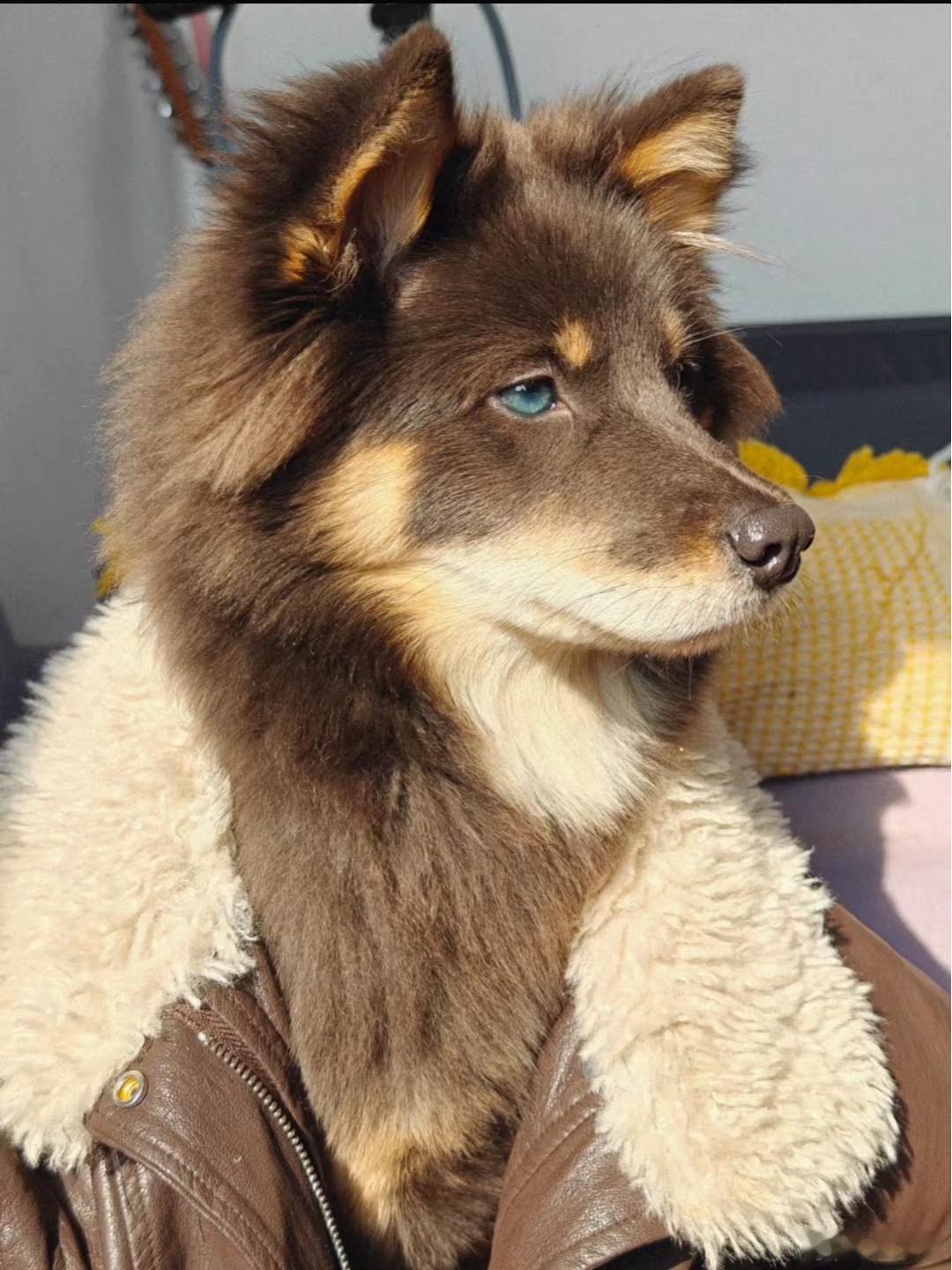 代得不知天地为何物了