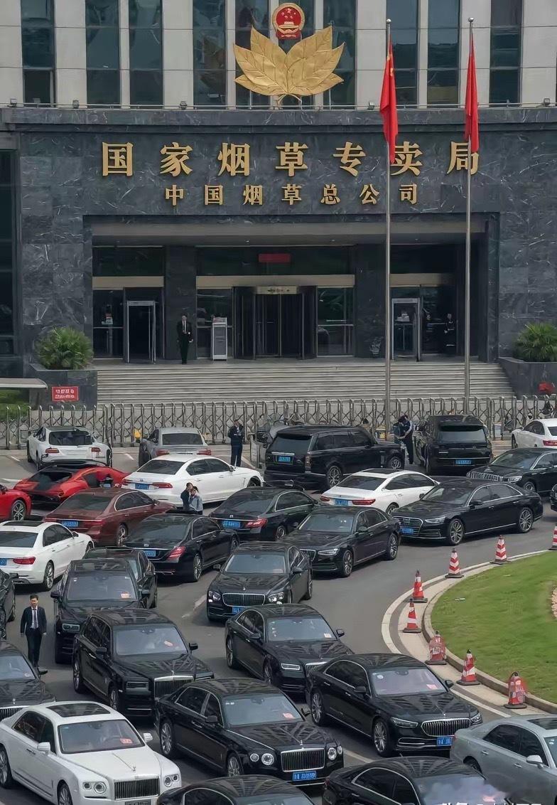 能让我来这里上班，我绝对不躺平。